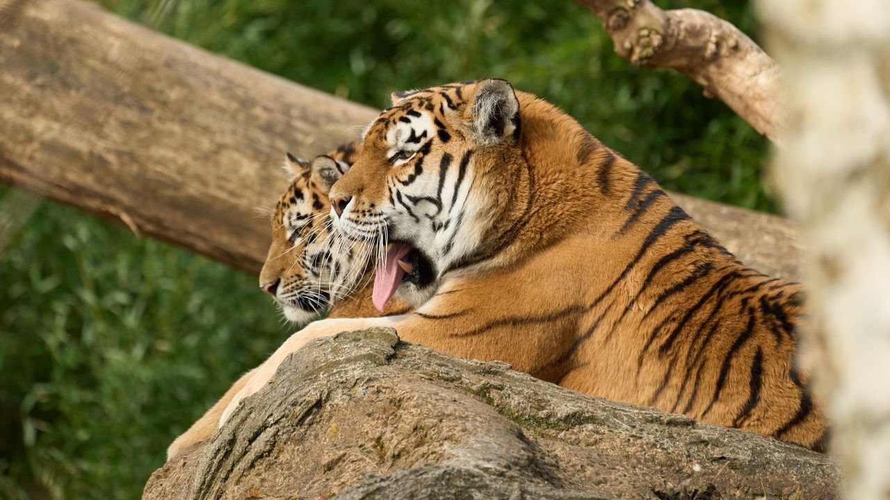 zoo duisburg 2022