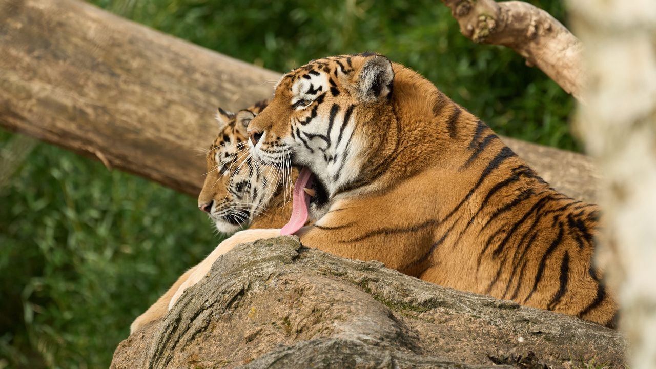 zoo duisburg 2022