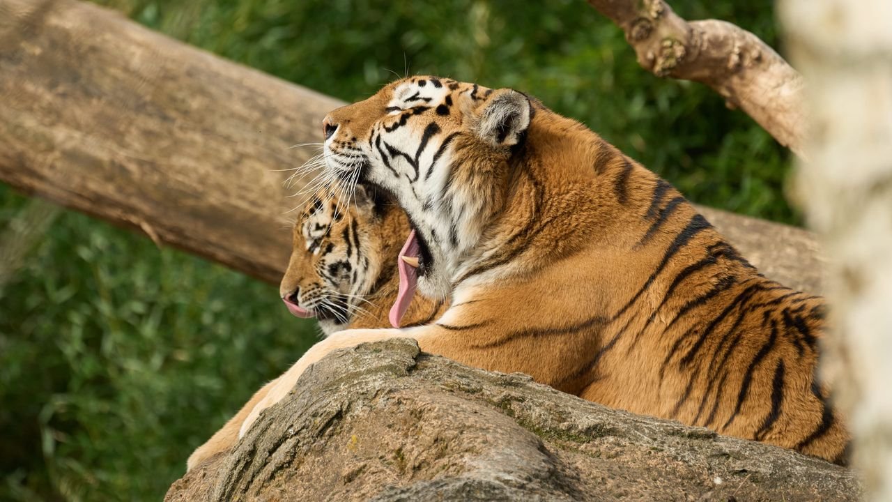 zoo duisburg 2022