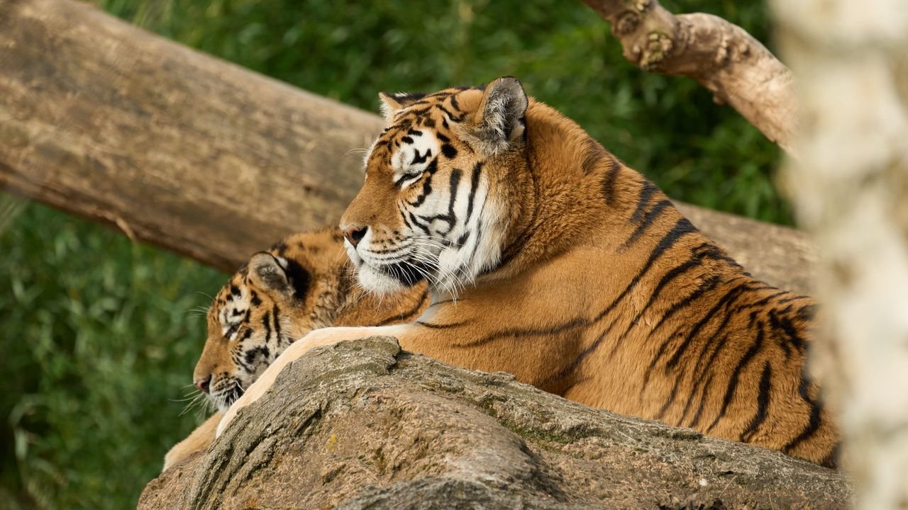 zoo duisburg 2022