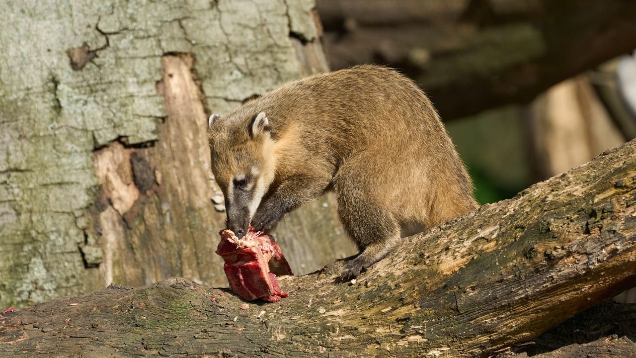 zoo duisburg 2022