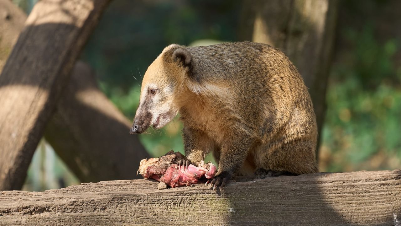 zoo duisburg 2022