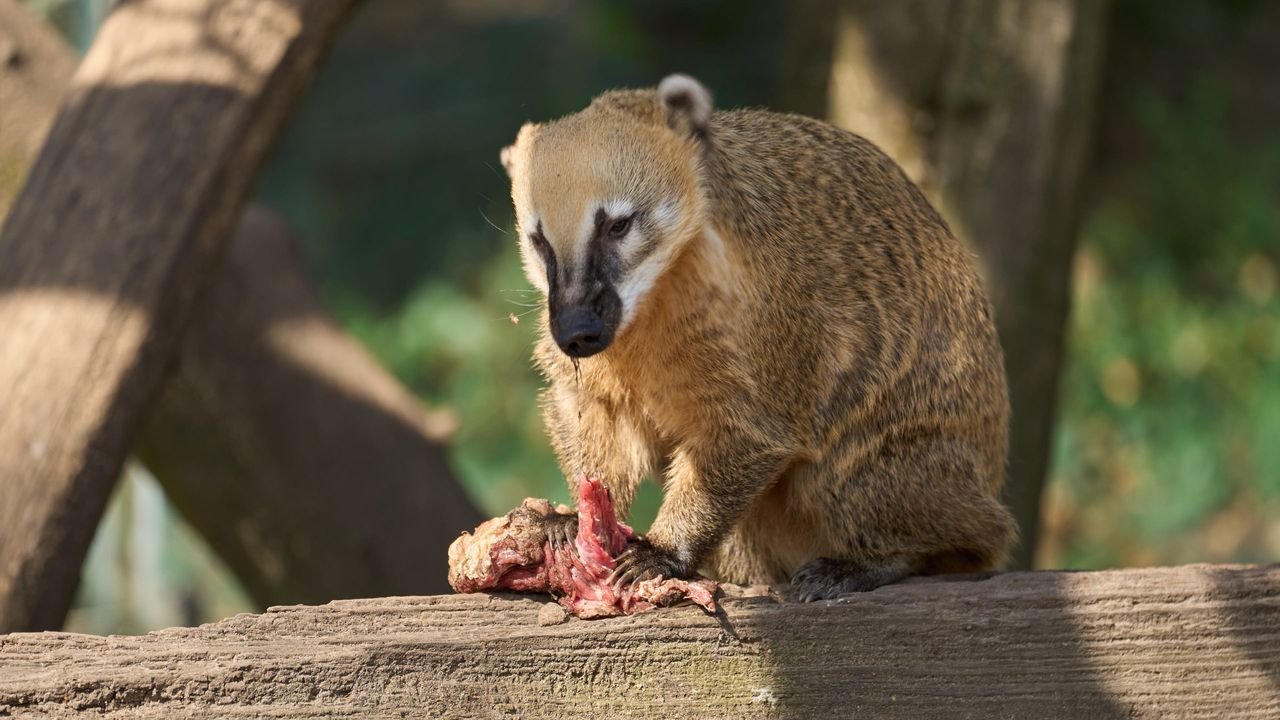 zoo duisburg 2022
