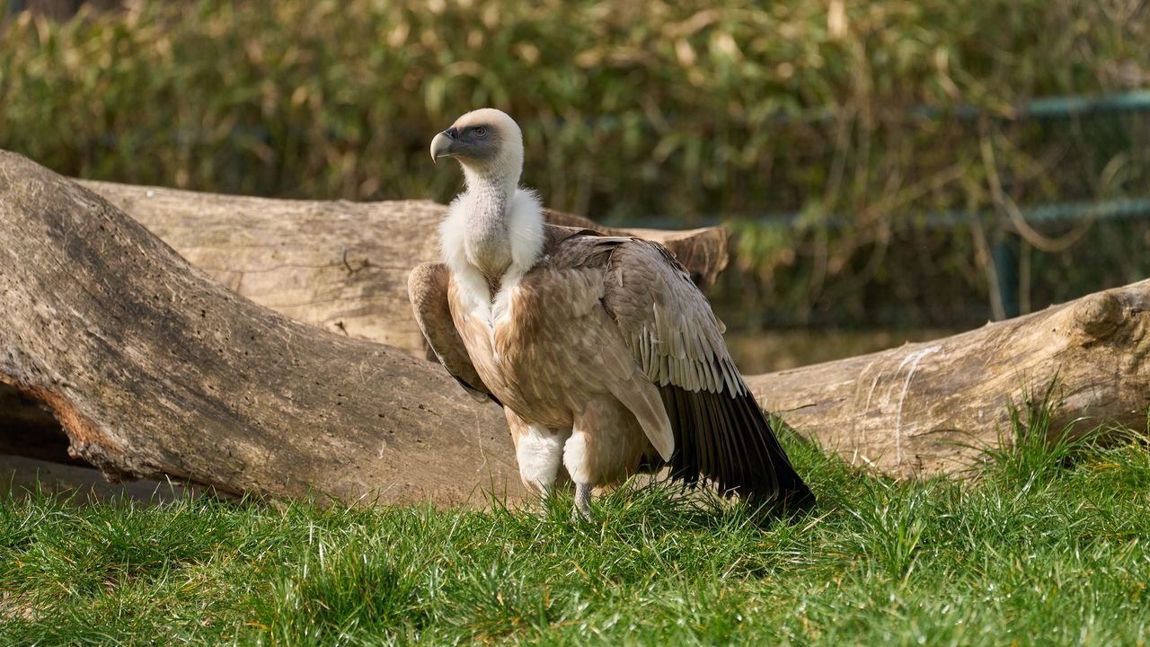 zoo duisburg 2022