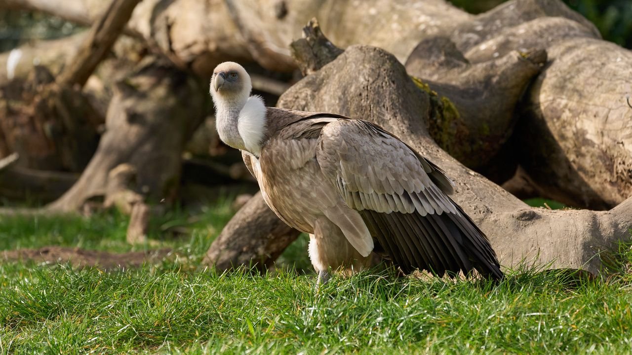 zoo duisburg 2022