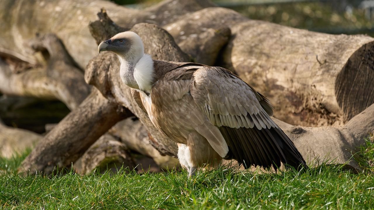 zoo duisburg 2022