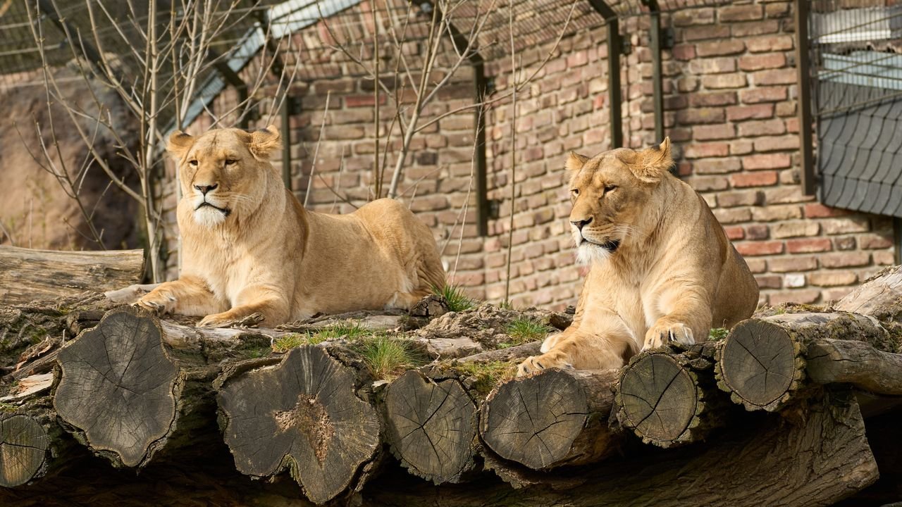 zoo duisburg 2022