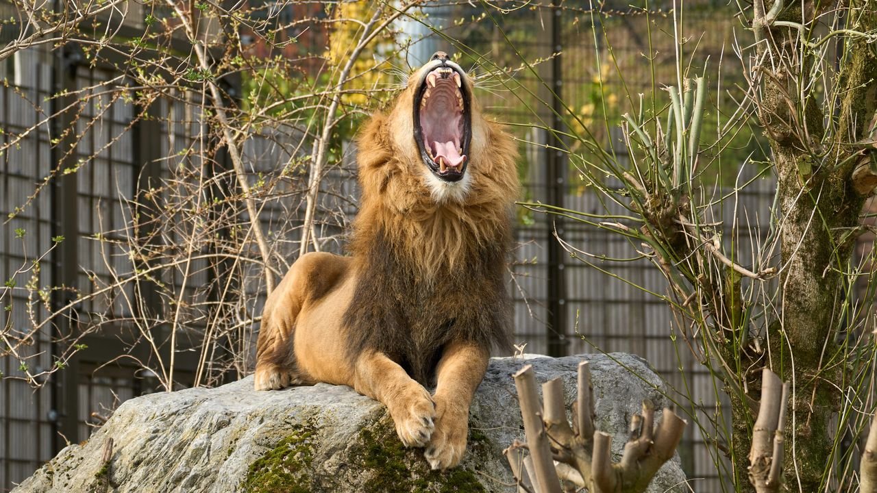zoo duisburg 2022
