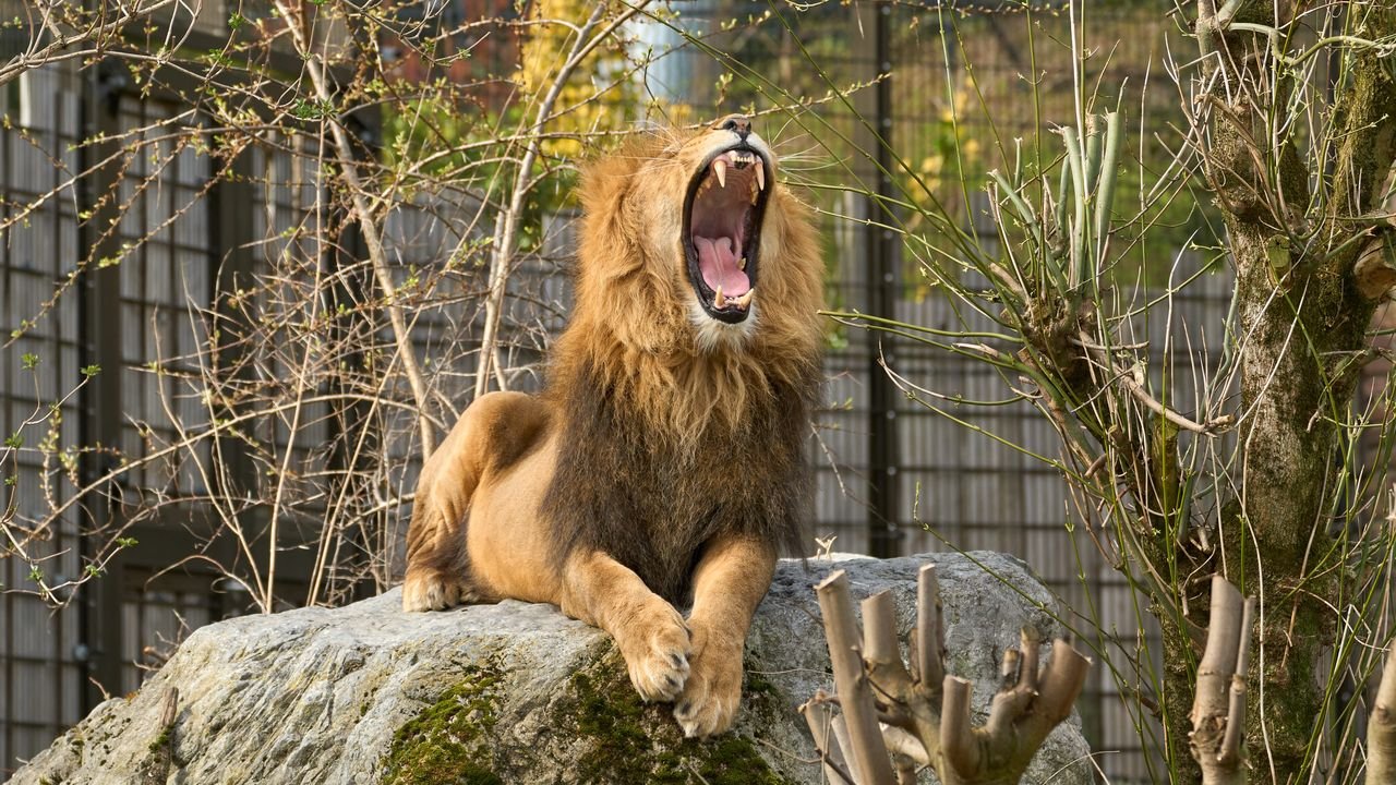 zoo duisburg 2022
