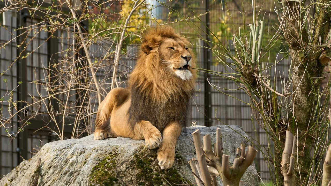 zoo duisburg 2022