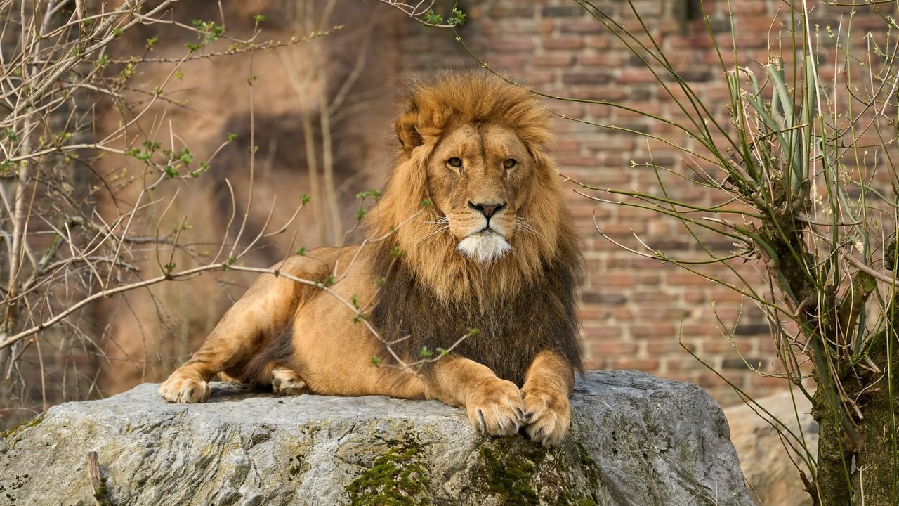 zoo duisburg 2022