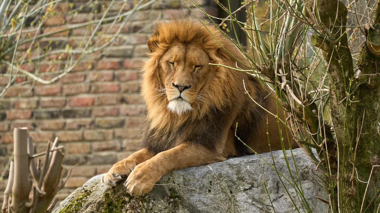 zoo duisburg 2022
