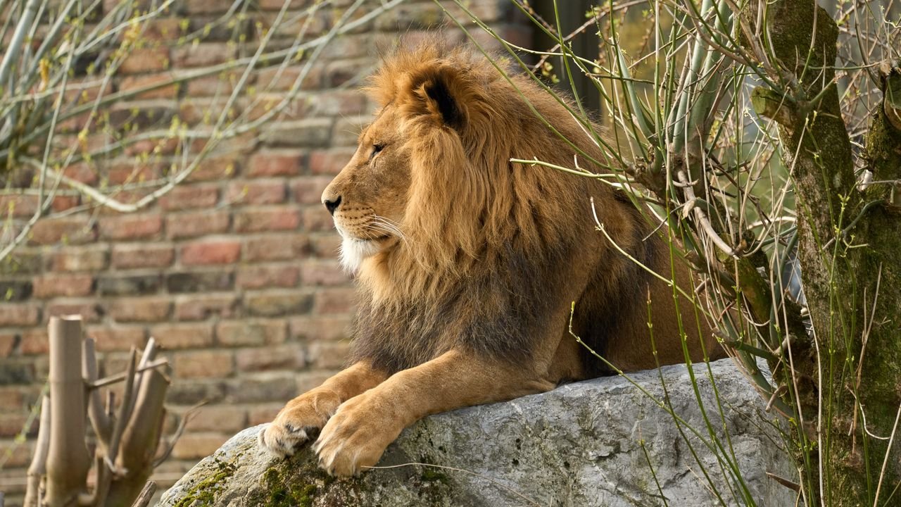 zoo duisburg 2022
