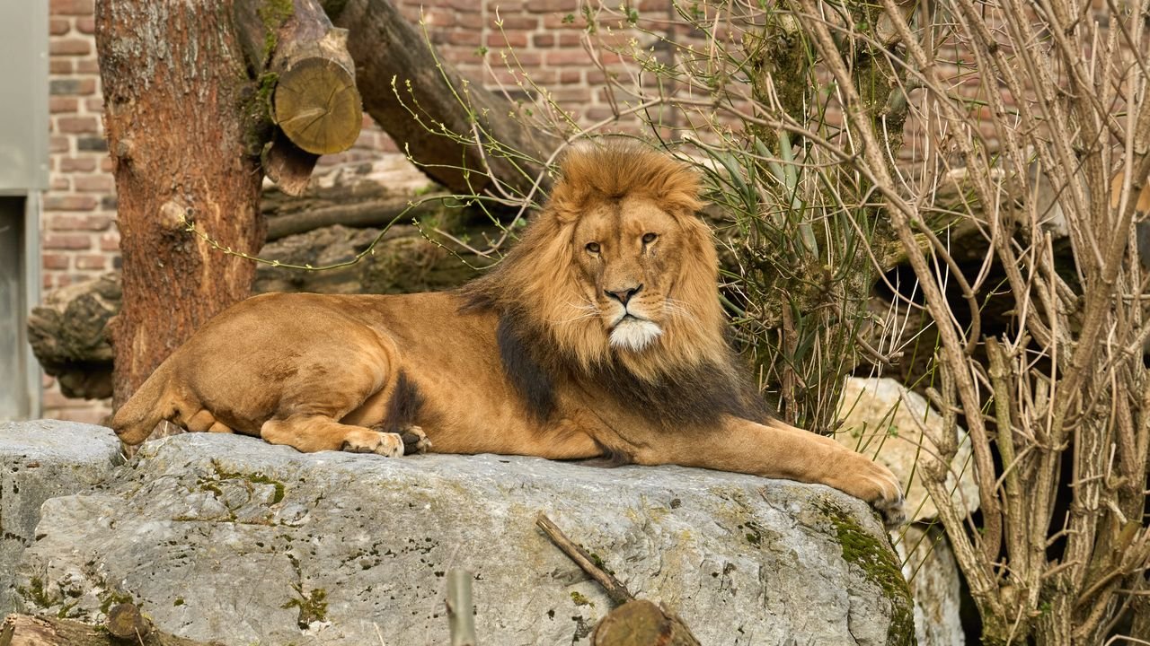 zoo duisburg 2022