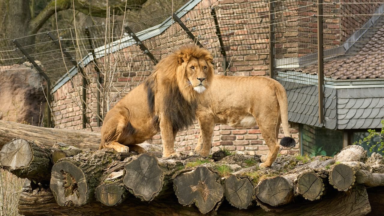zoo duisburg 2022