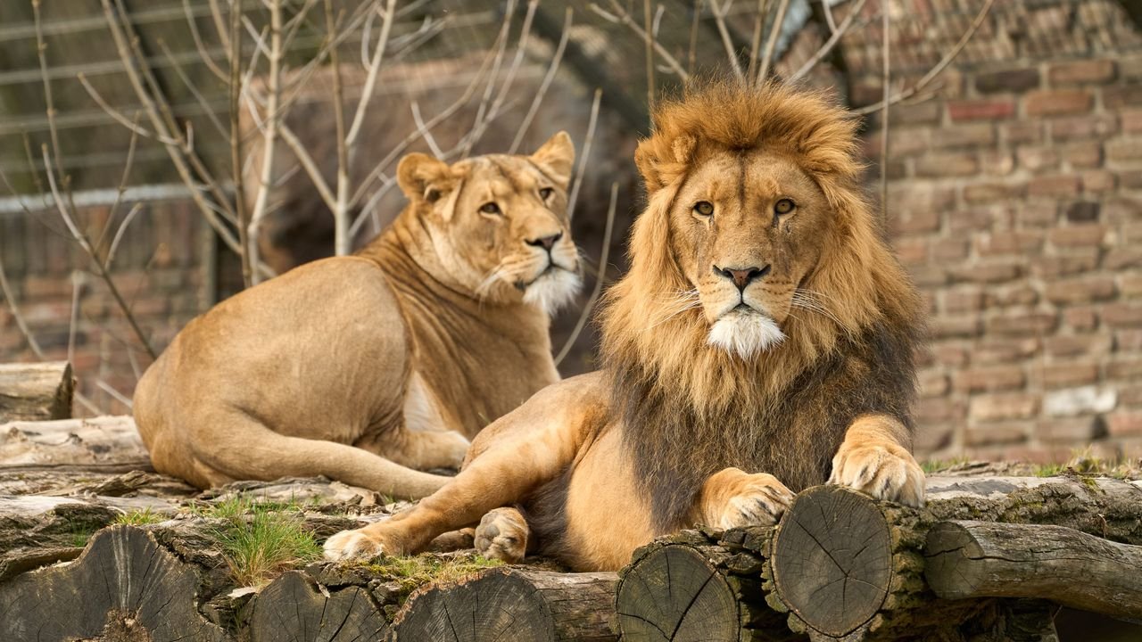zoo duisburg 2022