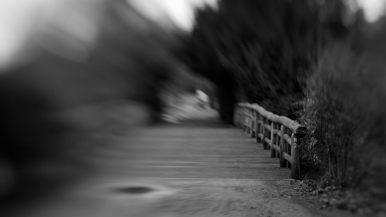 lensbaby