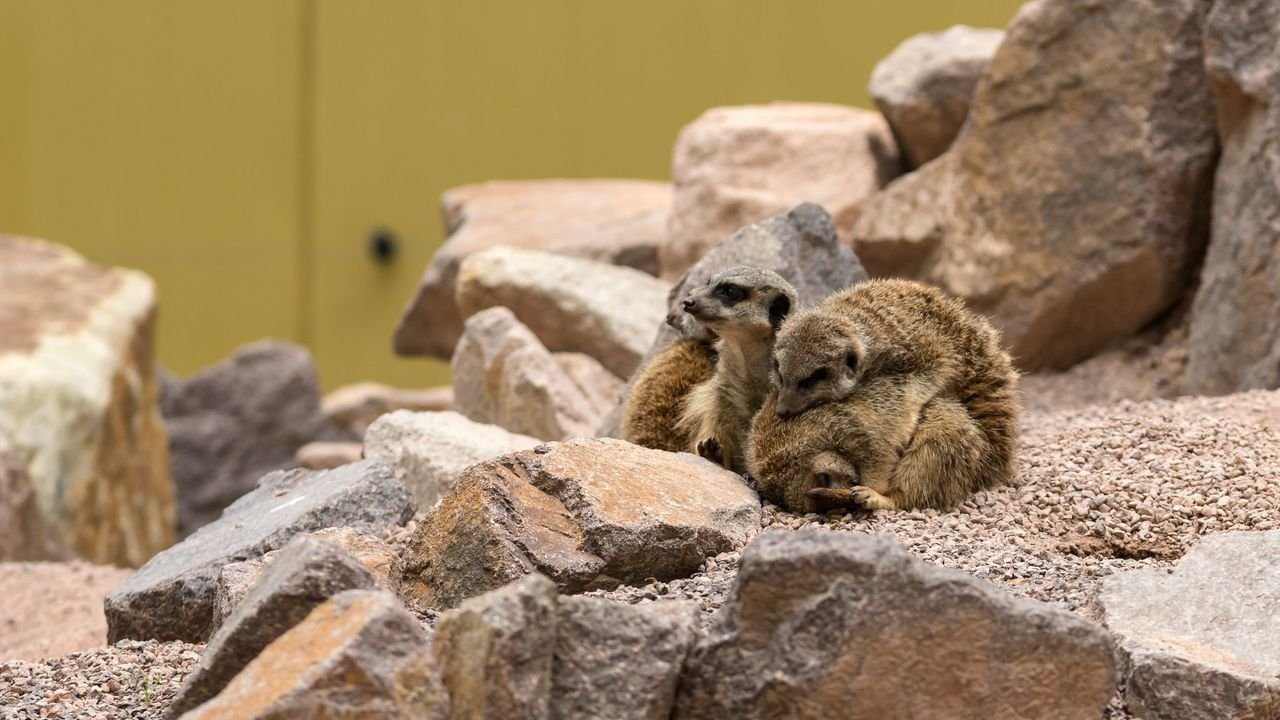 wildpark frankenhof 2019