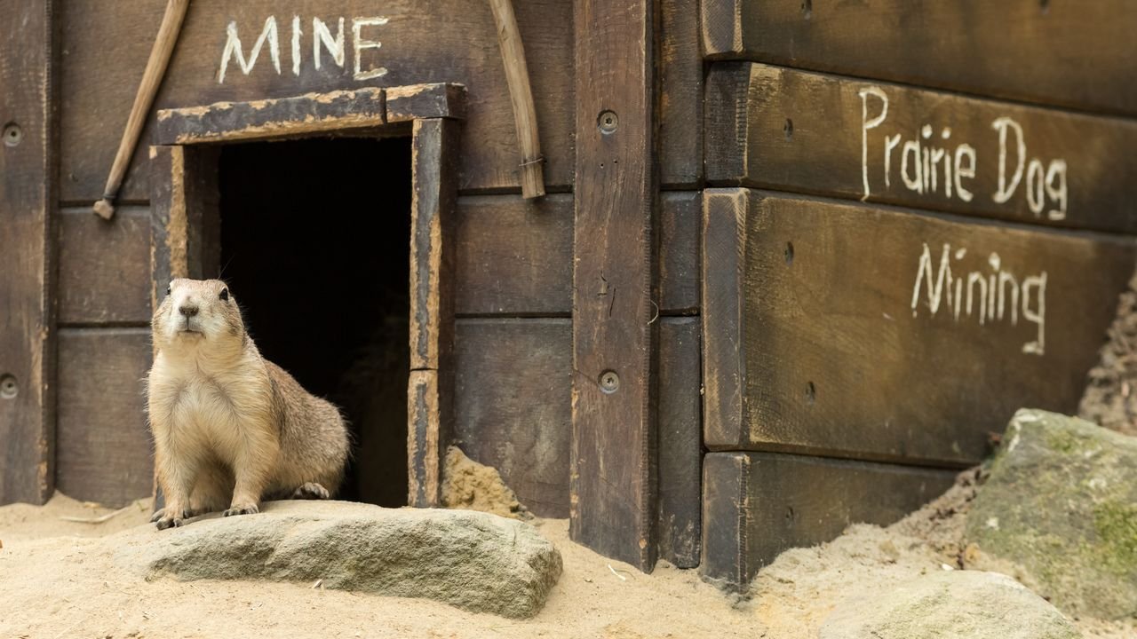 wildpark frankenhof 2019