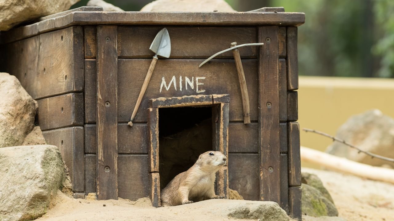 wildpark frankenhof 2019