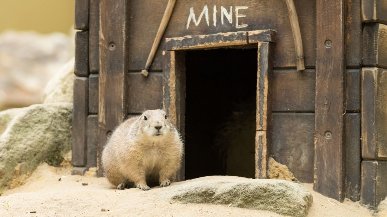 wildpark frankenhof 2019