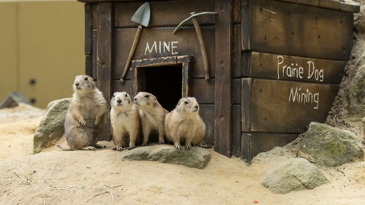 wildpark frankenhof 2019