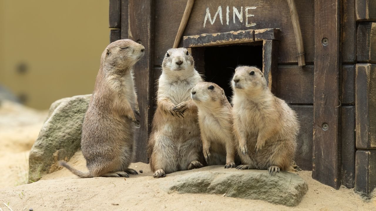 wildpark frankenhof 2019