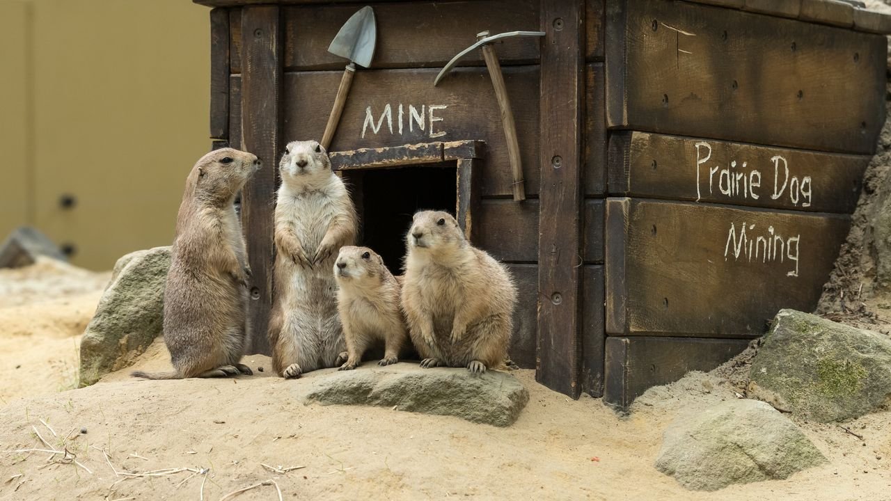 wildpark frankenhof 2019