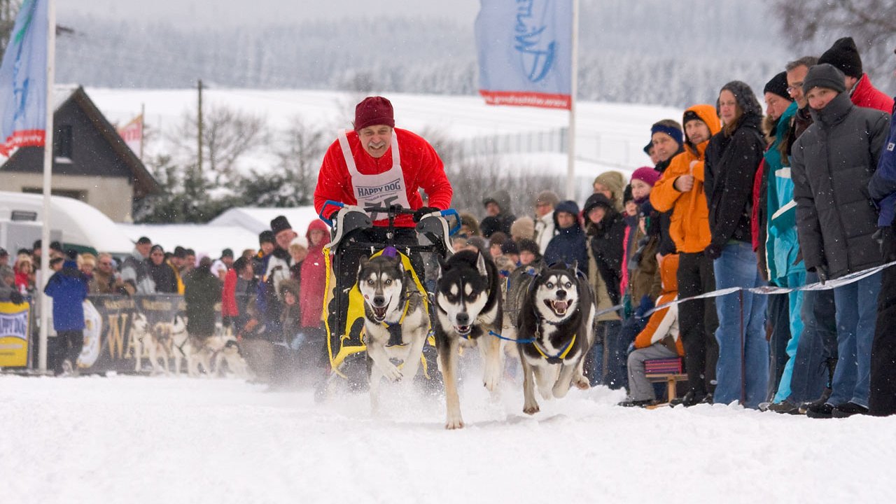 winterberg-schlittenhunderennen-2010-006