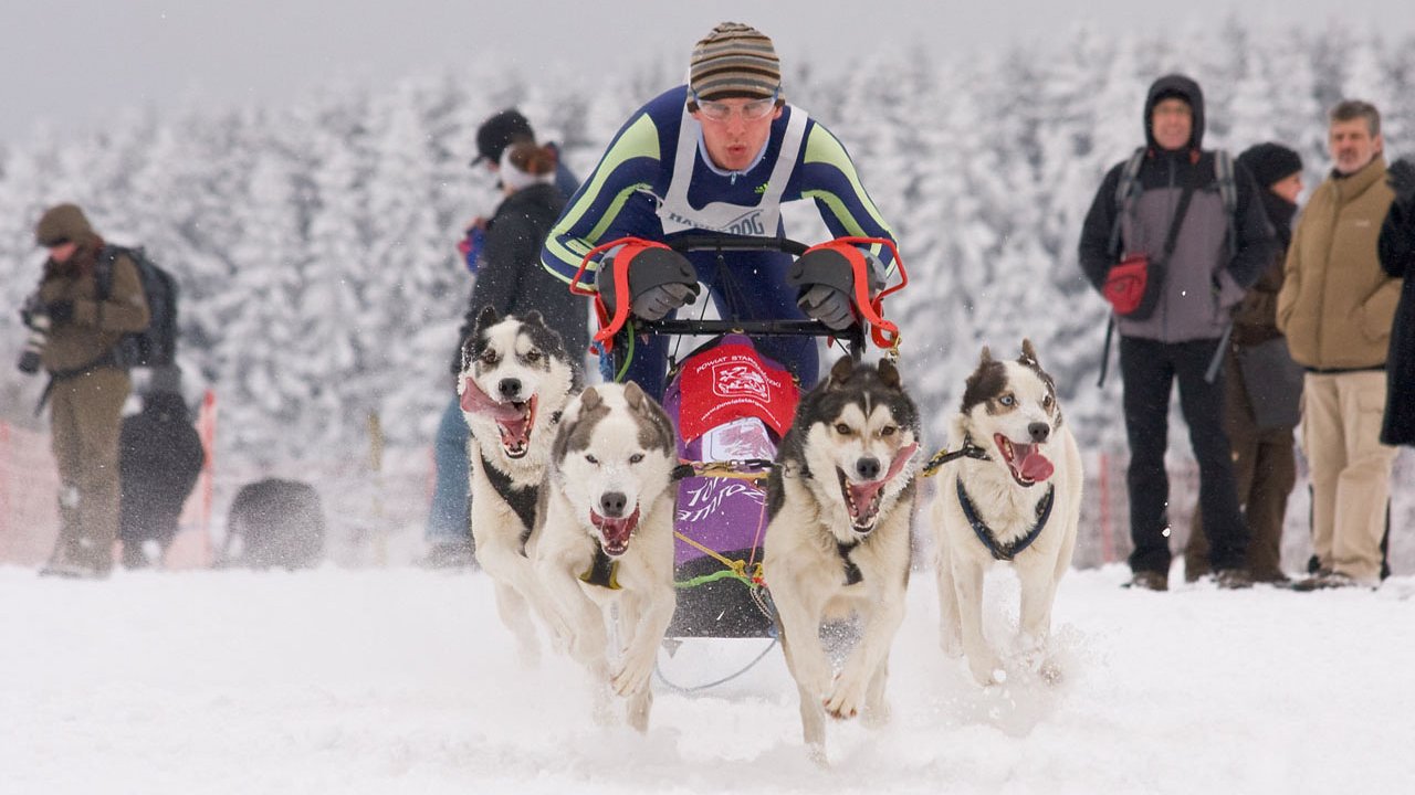 winterberg-schlittenhunderennen-2010-009