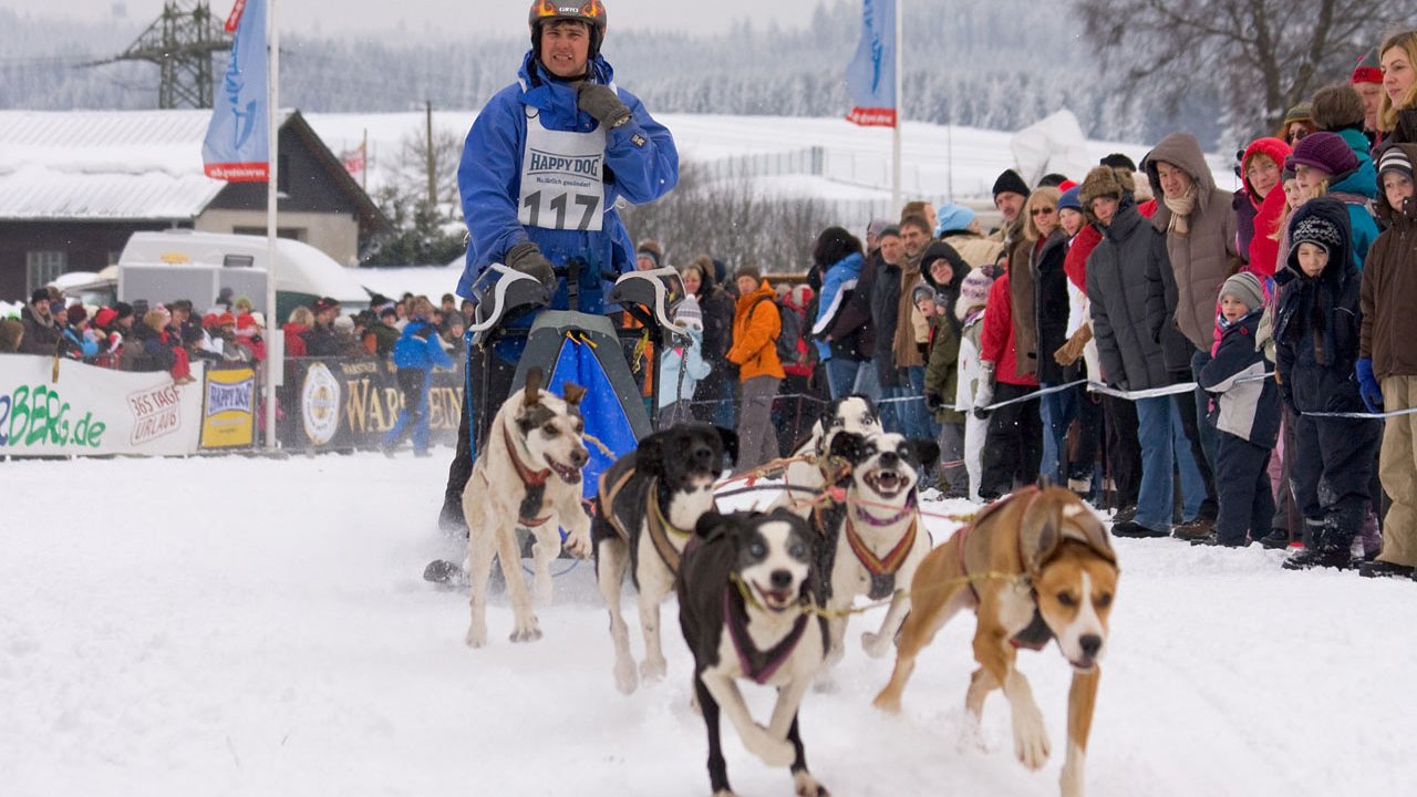 winterberg-schlittenhunderennen-2010-017
