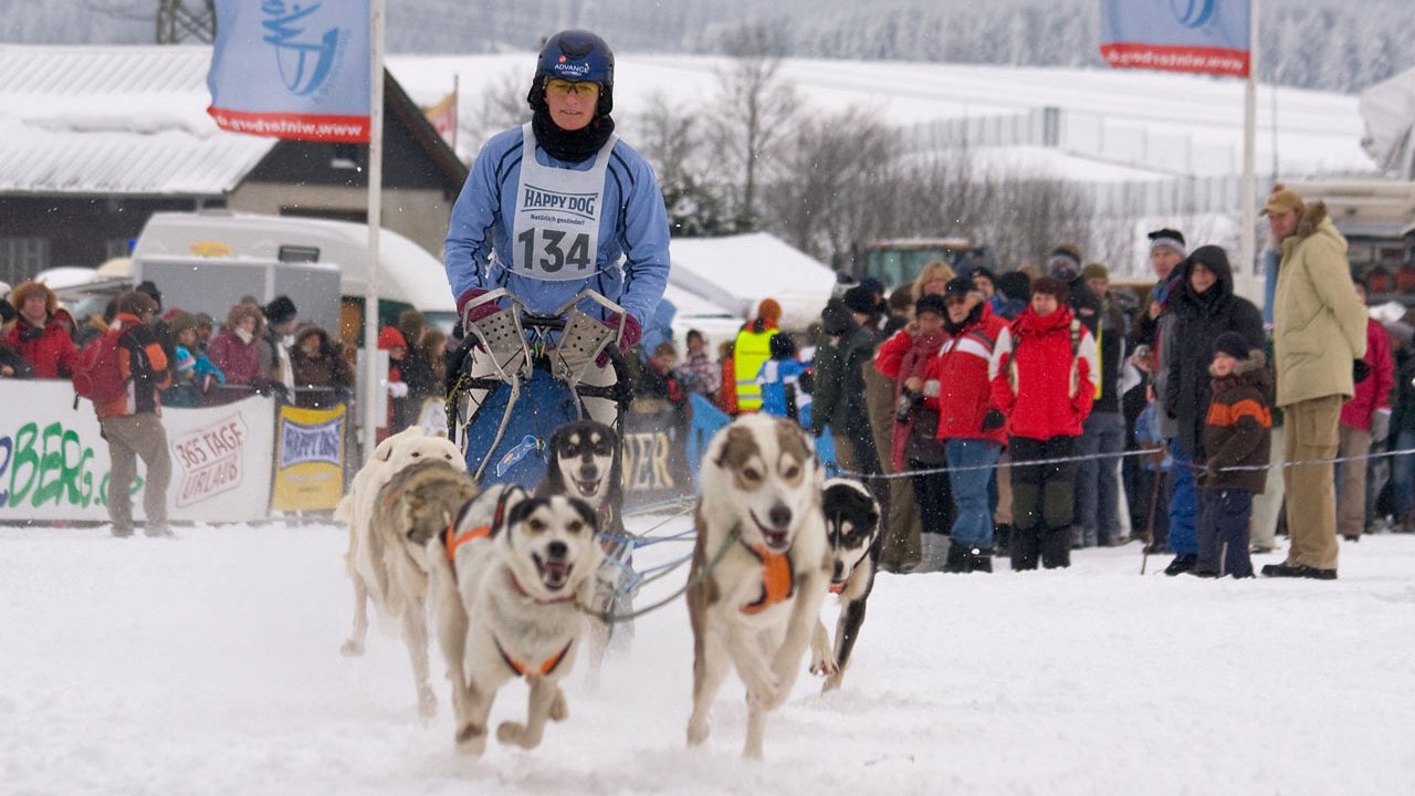 winterberg-schlittenhunderennen-2010-020