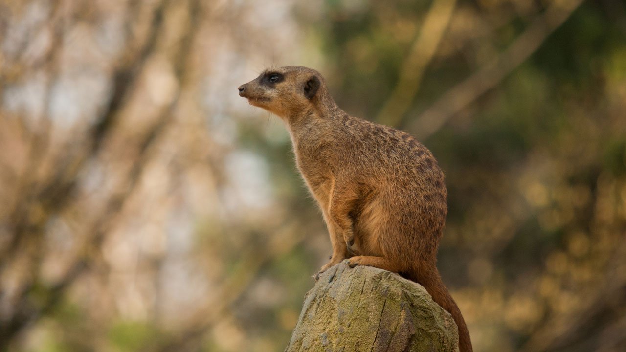 zoo-duisburg-2011-005