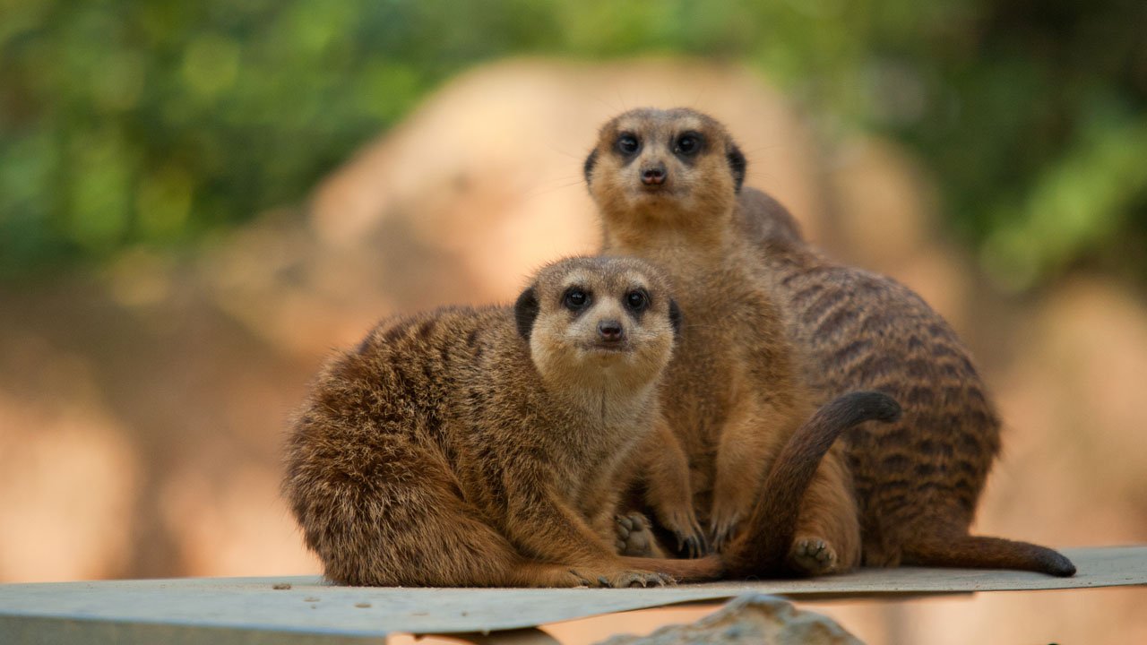 zoo-duisburg-2011-006