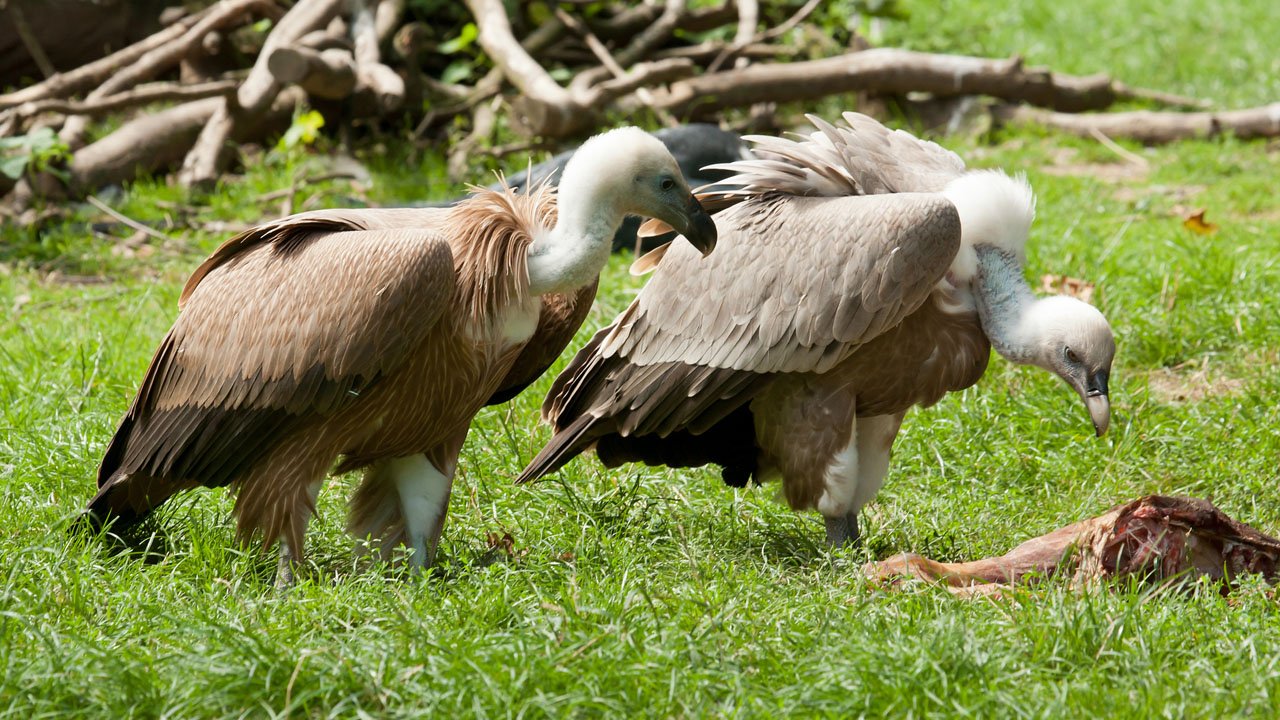 zoo-duisburg-2012-004