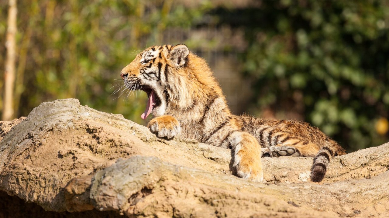 Zoo Duisburg-2017-008