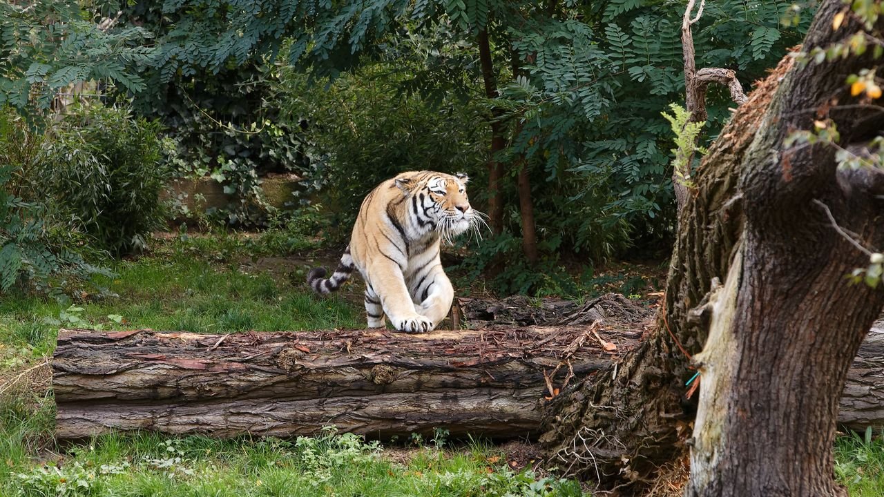 zoo duisburg 2019