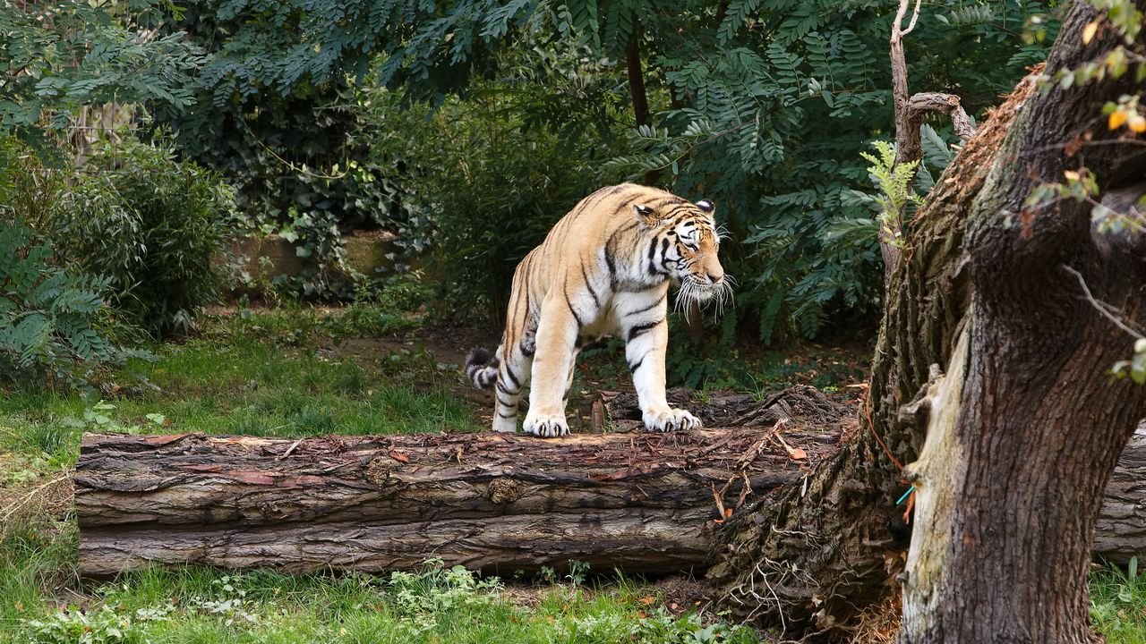 zoo duisburg 2019