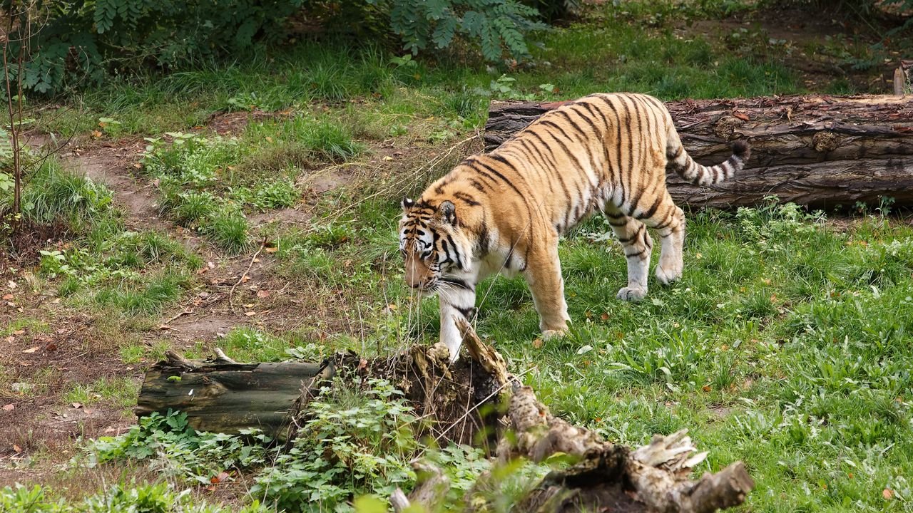zoo duisburg 2019