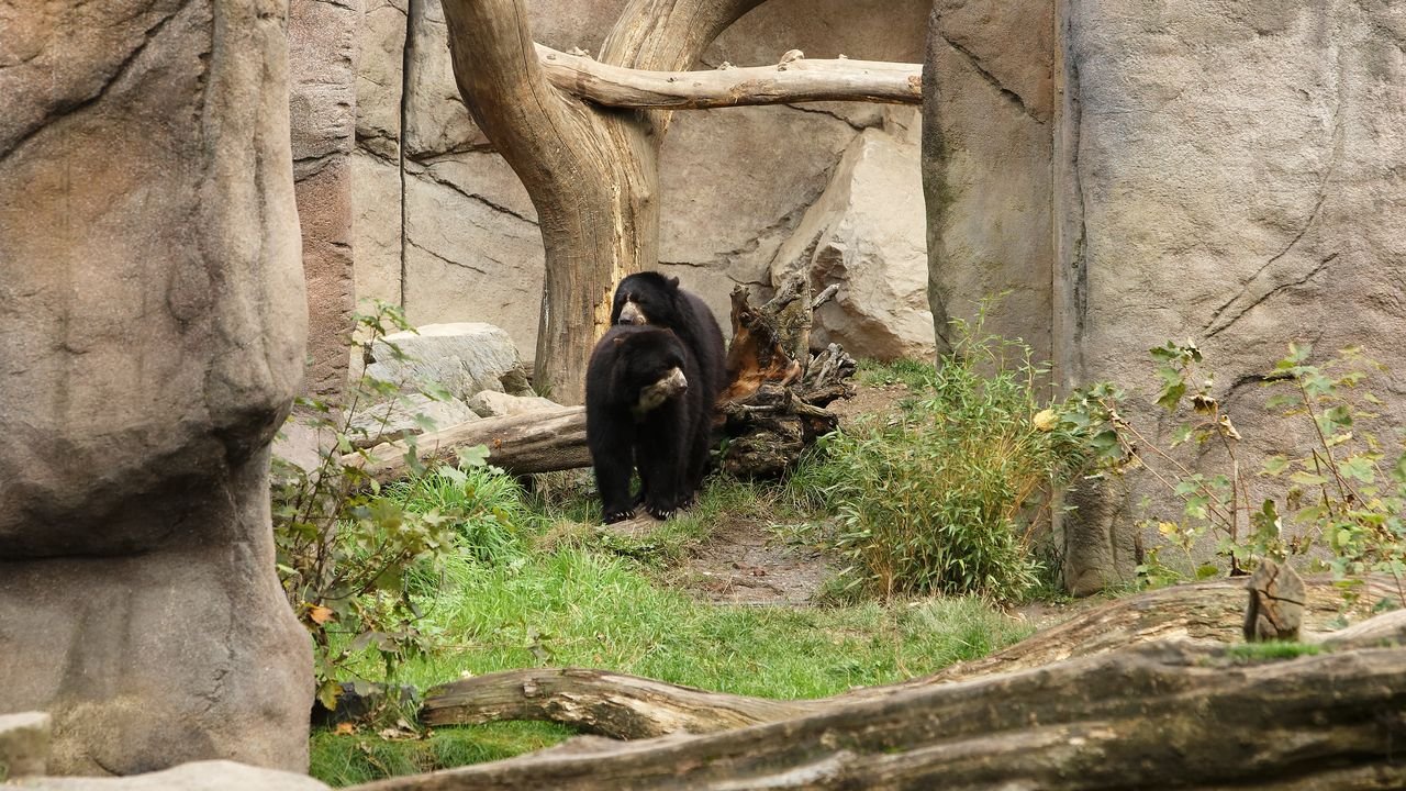 zoo duisburg 2019
