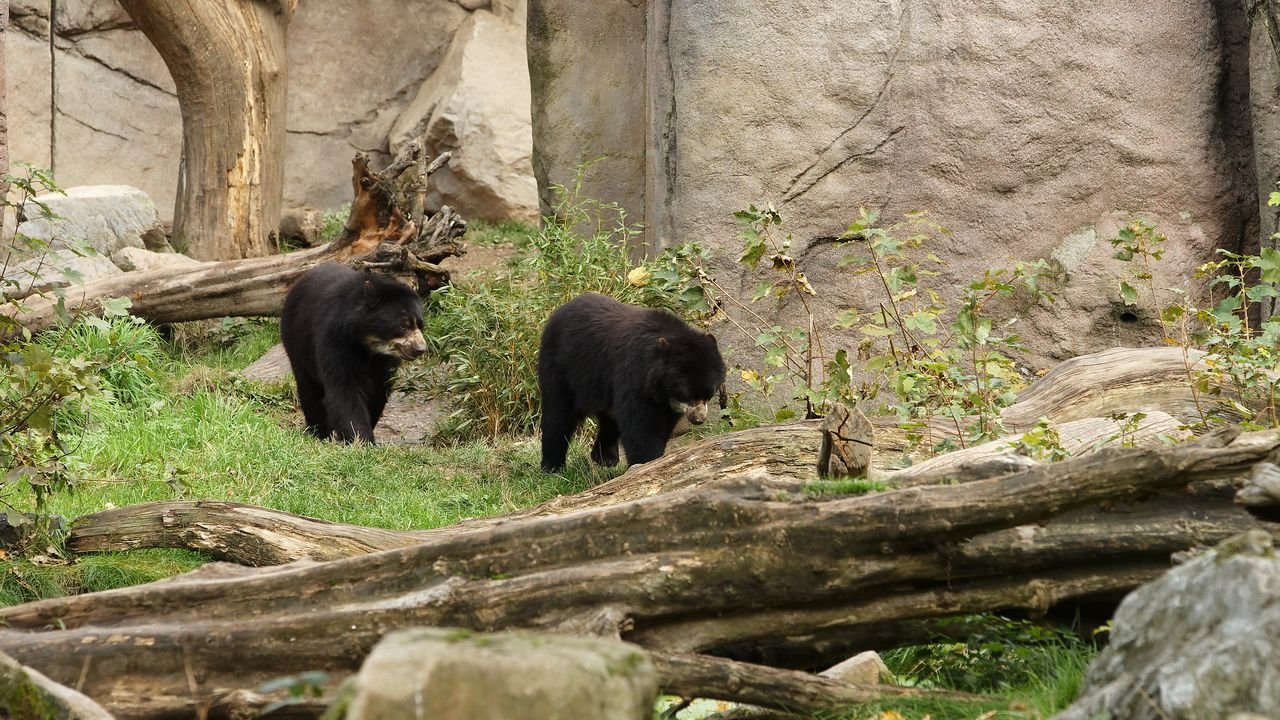 zoo duisburg 2019