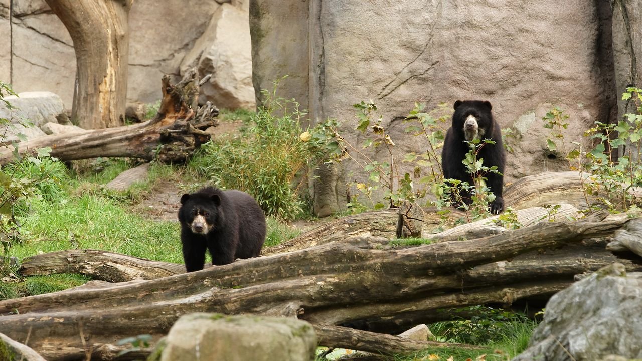 zoo duisburg 2019