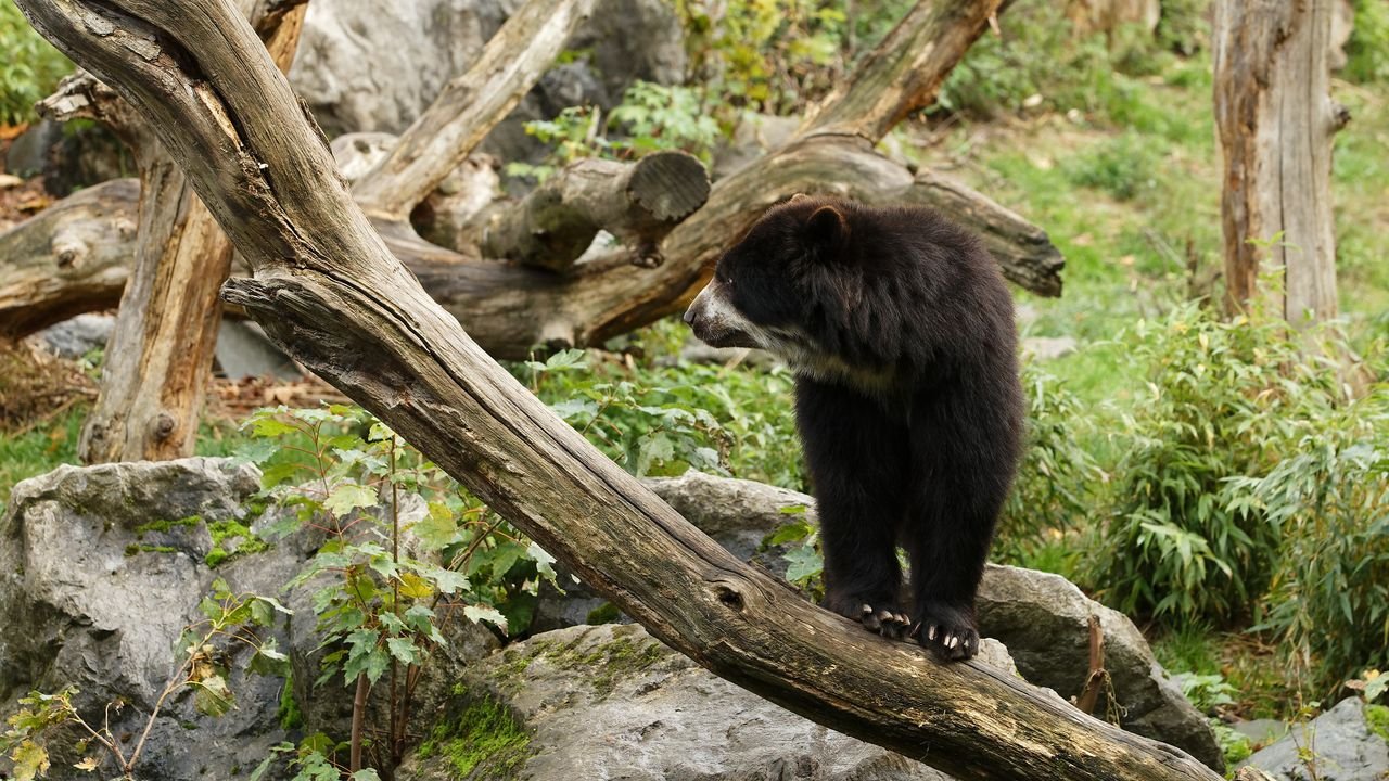 zoo duisburg 2019