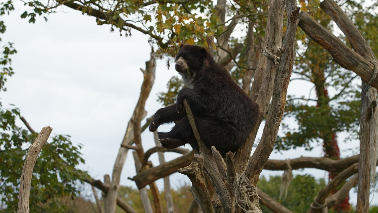 zoo duisburg 2019