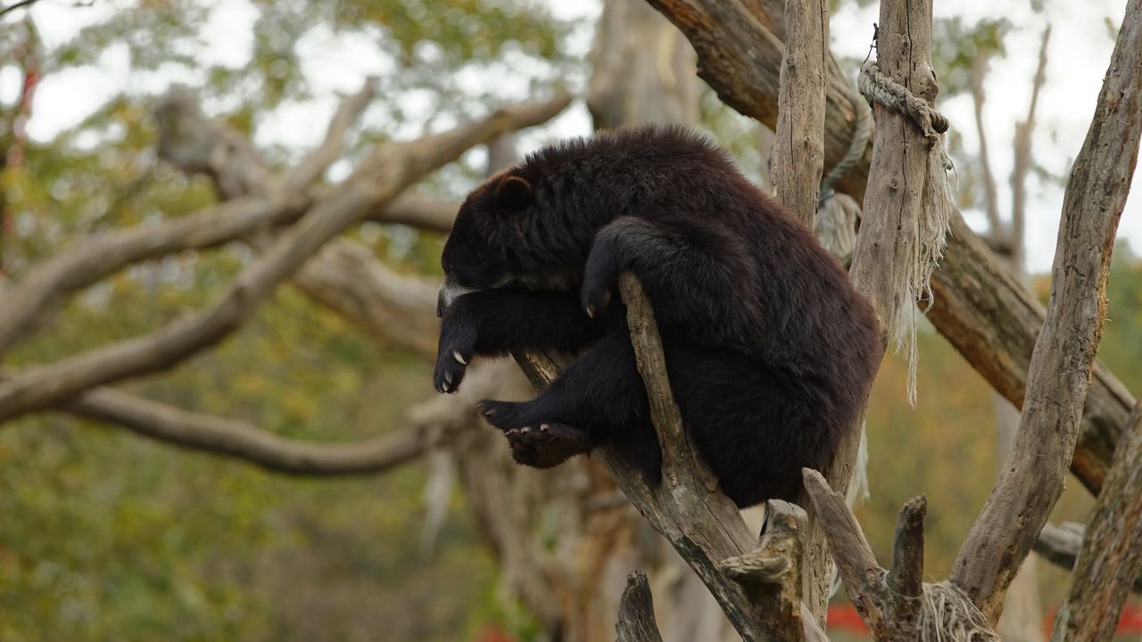zoo duisburg 2019