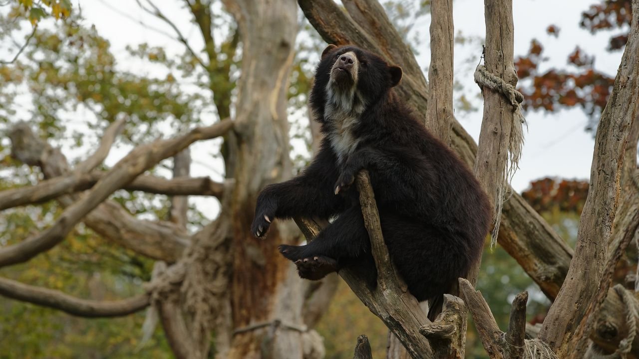 zoo duisburg 2019