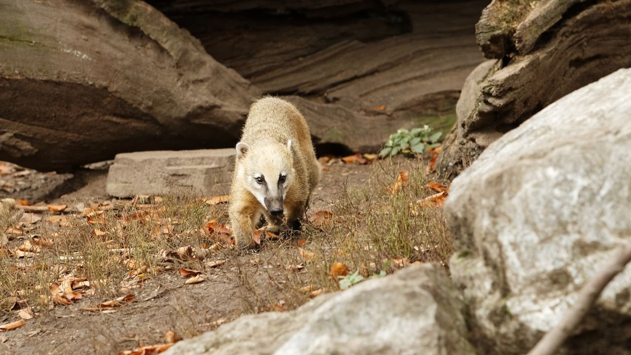 zoo duisburg 2019