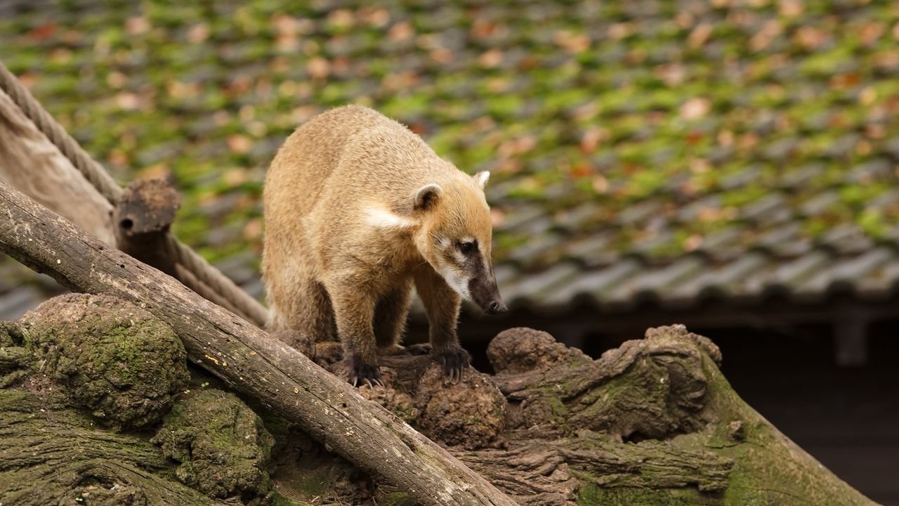 zoo duisburg 2019