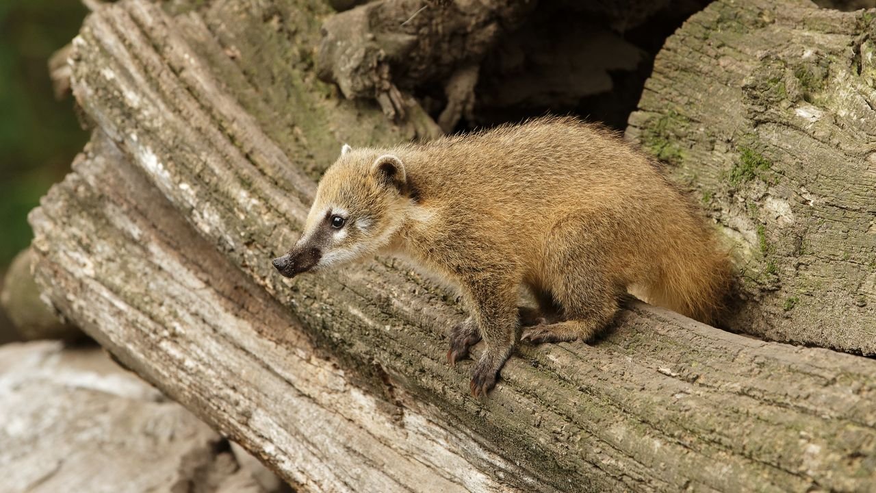 zoo duisburg 2019