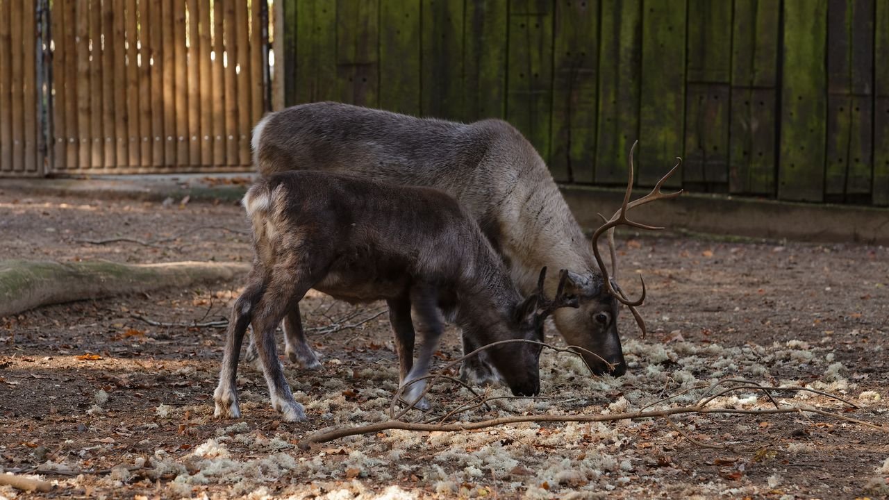 zoo duisburg 2019